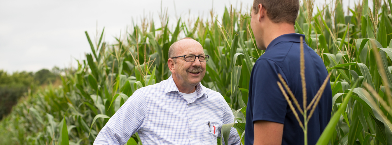 Two people chatting in a field